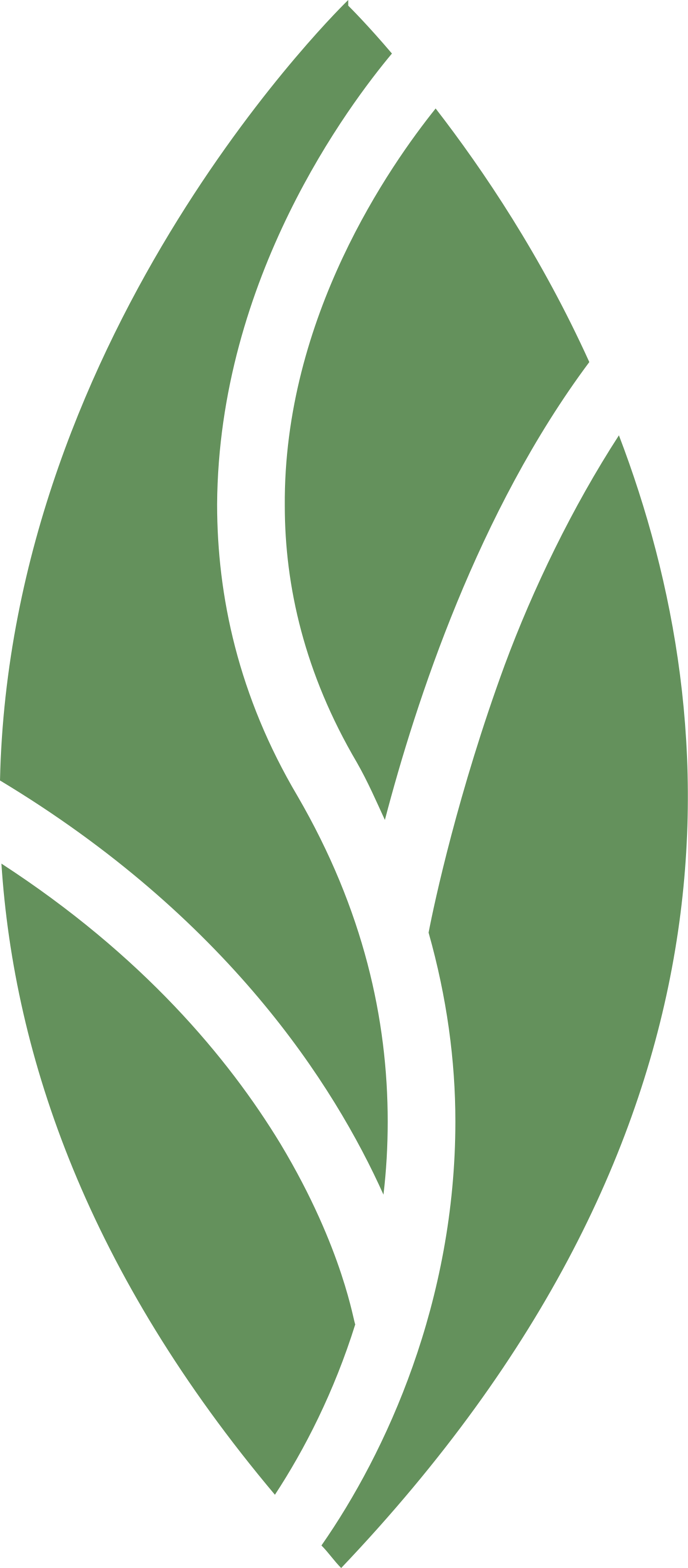 MINT dentistry leaf mark